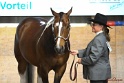 23-APHA SS_063